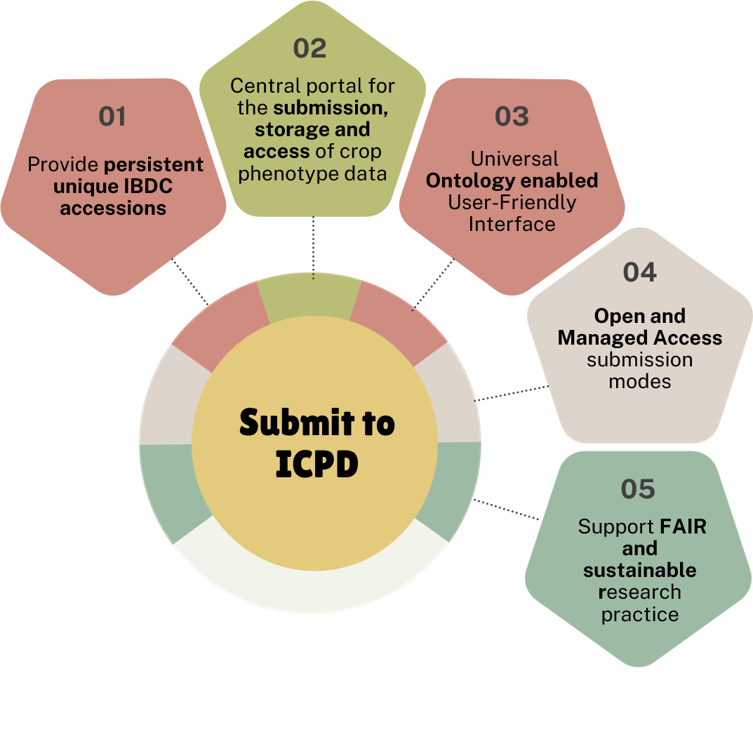 About ICPD