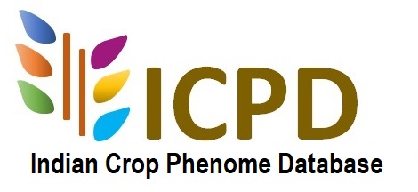 ICPD