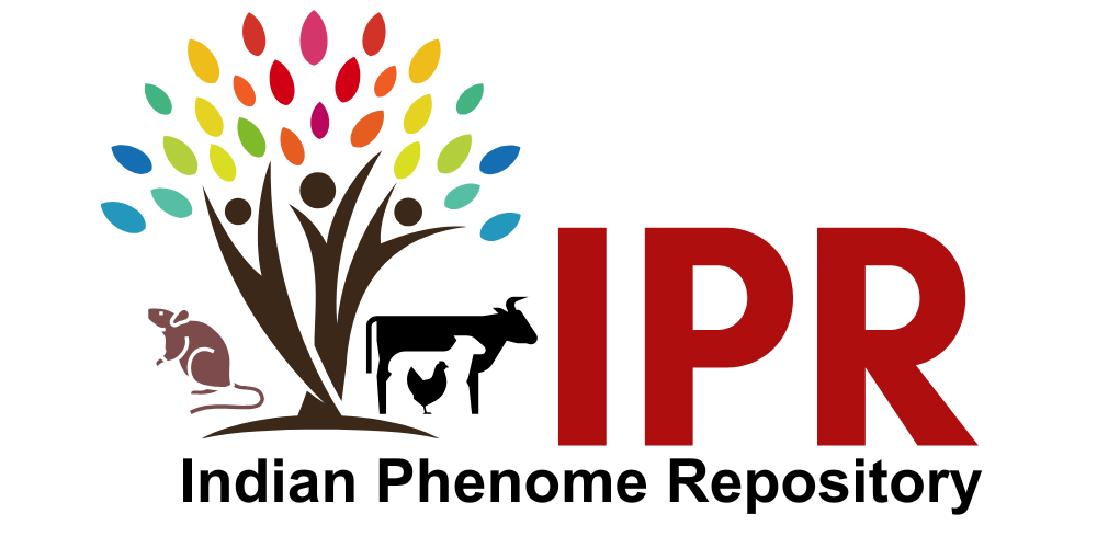 IPR