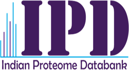 IPD Logo