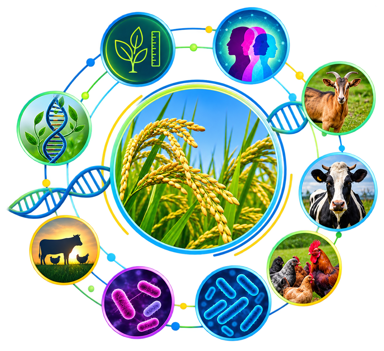 Phenome Repository