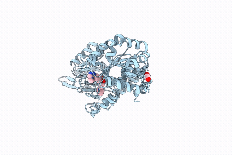 10AJ image
