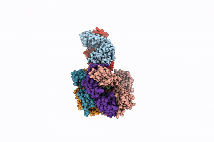 10BT image