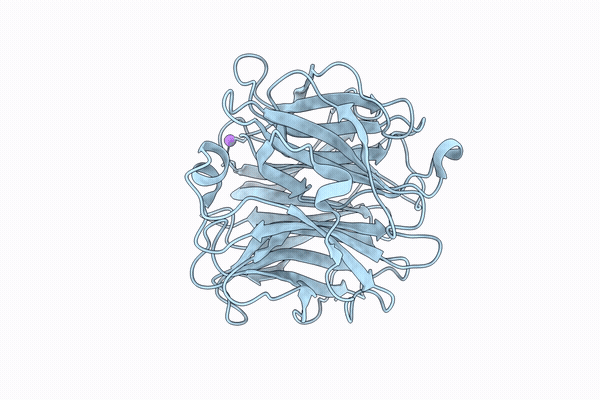 10EM image