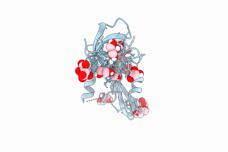 10FV image