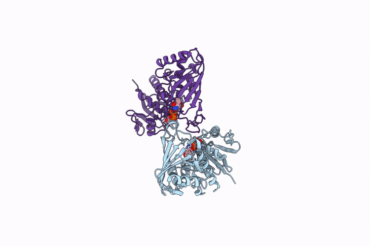 10GI image