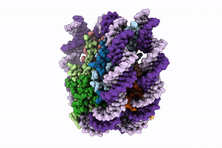 10GJ image