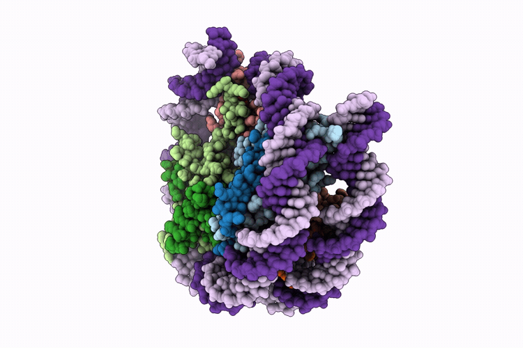 10GL image