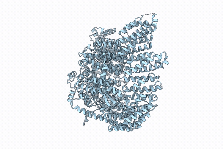 10GX image