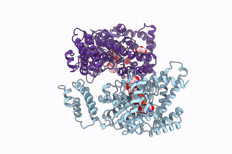10OI image