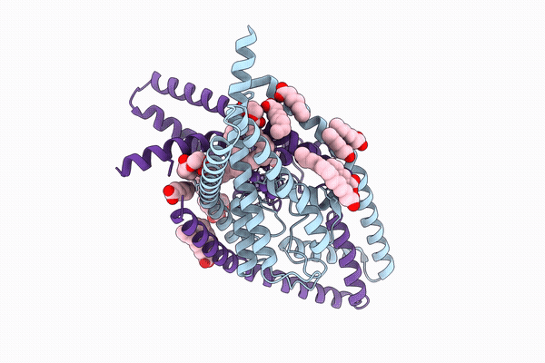 10PD image
