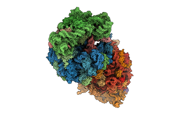 10PX image
