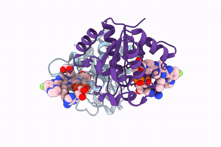 10RC image