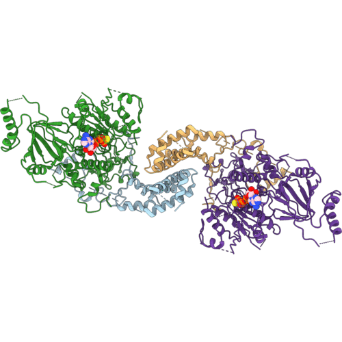 10RN image