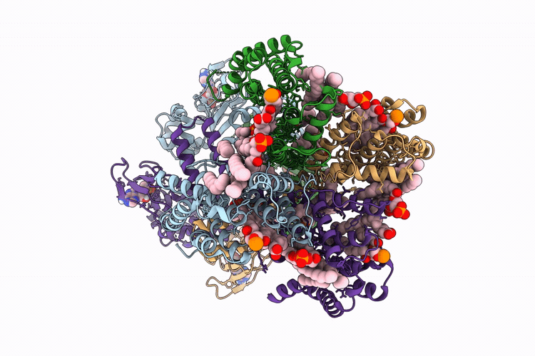 10RX image