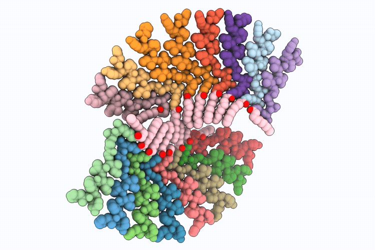 10SD image
