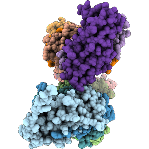 10SS image
