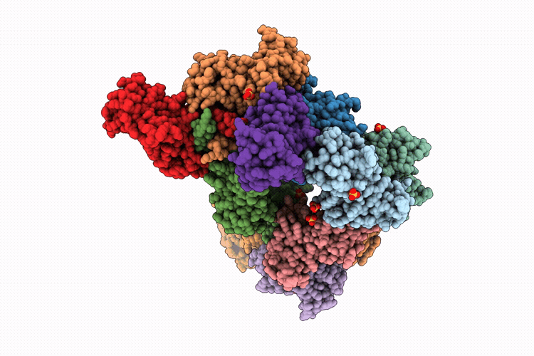 10UQ image