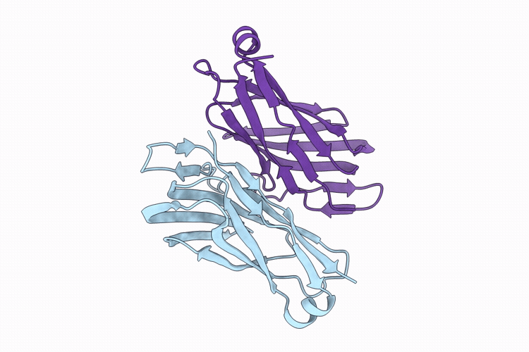 10UV image
