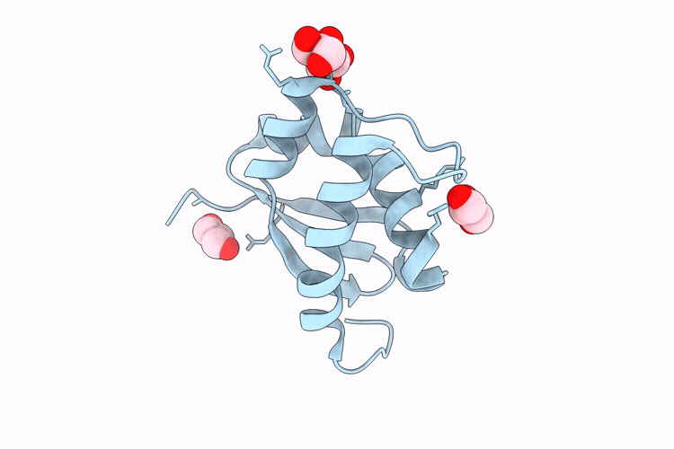 10XB image