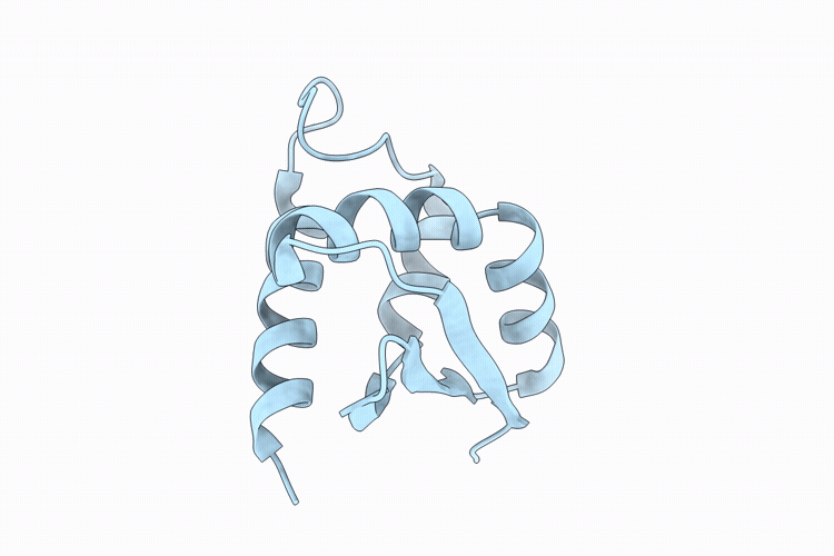10XF image