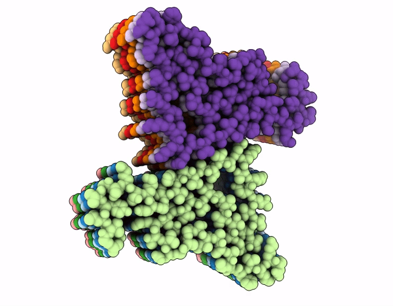10XU image