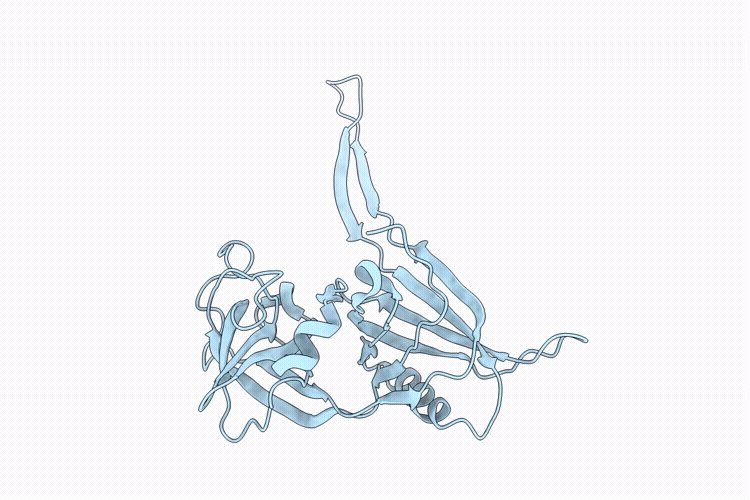 10XW image