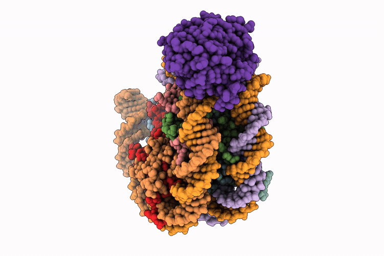 10YF image