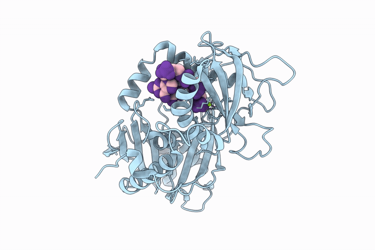 10YZ image