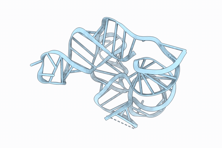 10ZT image