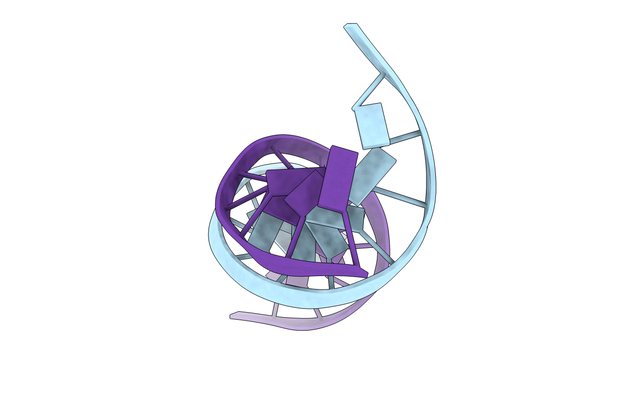 113D image