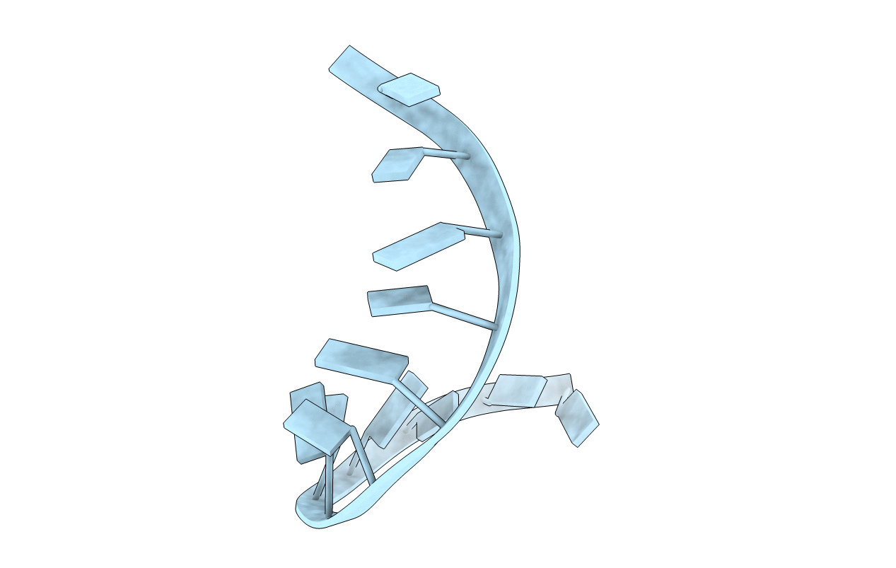 116D image