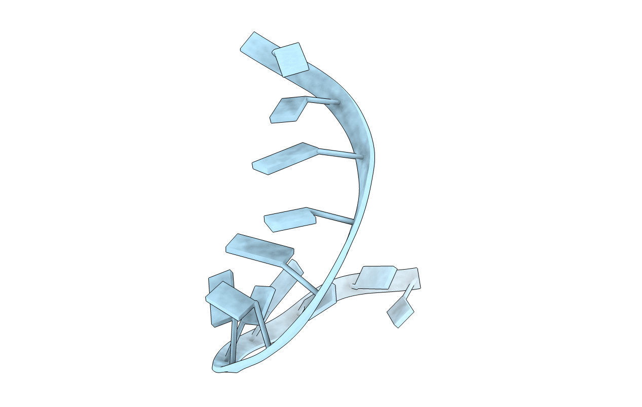 117D image