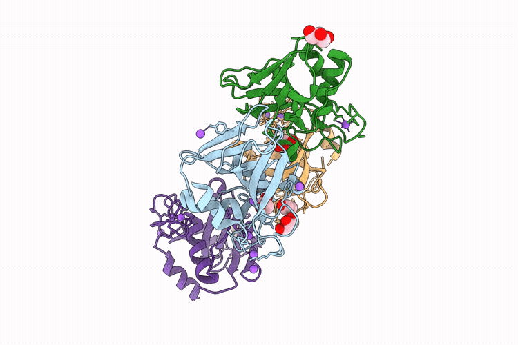 11CF image