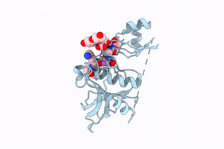 11CI image
