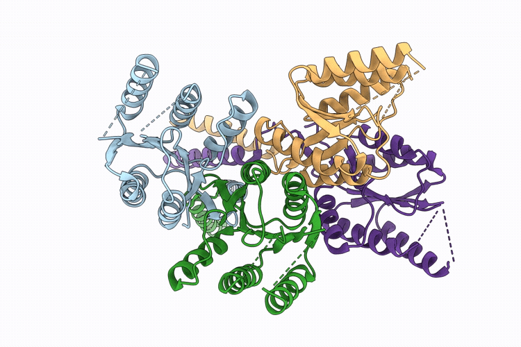11CV image