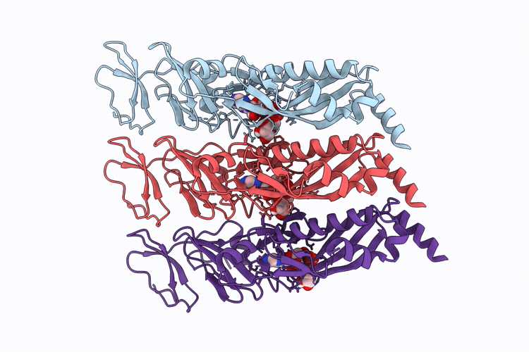 11DR image