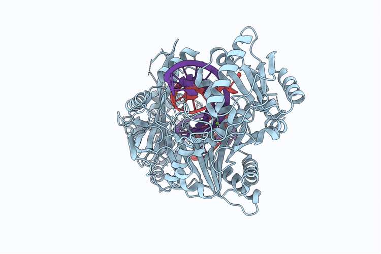 11GI image