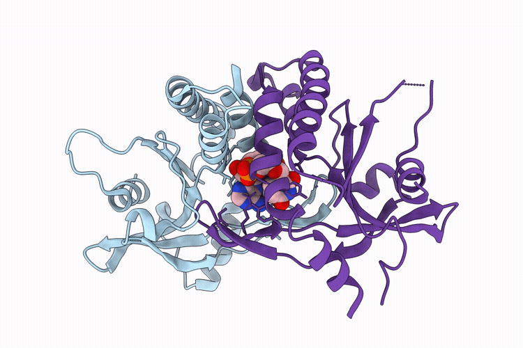11GL image