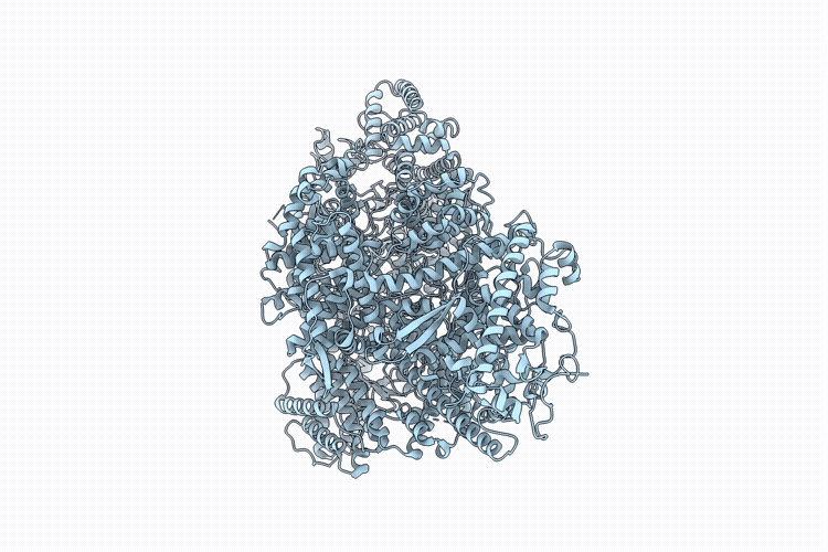 11GP image