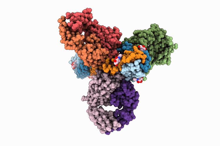 11HW image