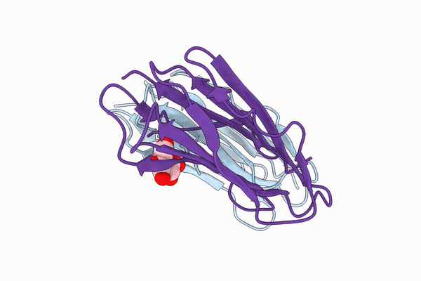 11OX image