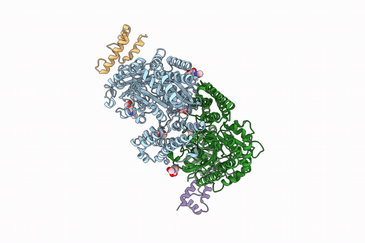 11RN image