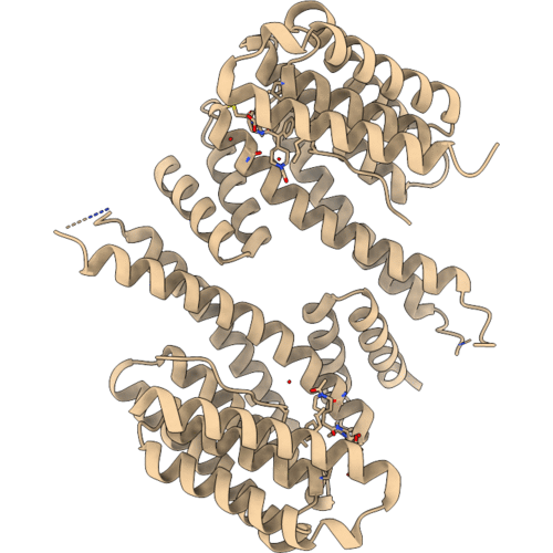 11SI image