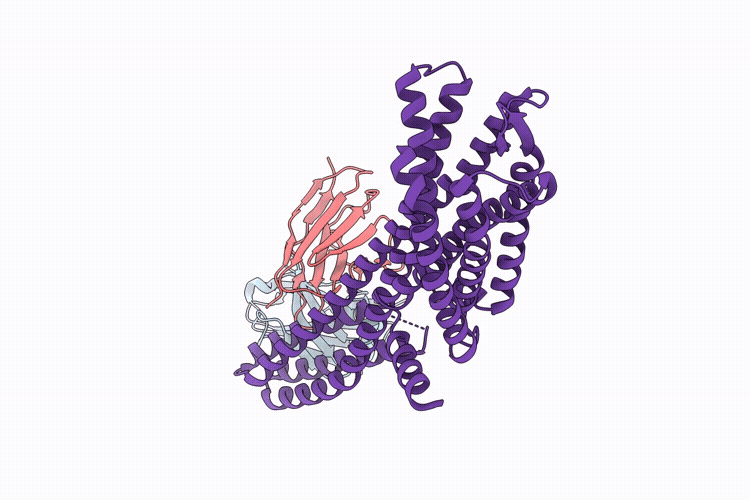 11TD image