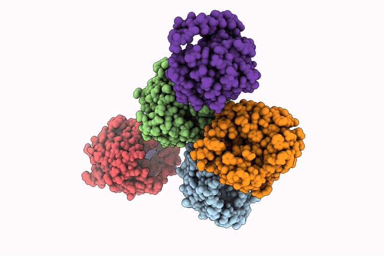 11TS image