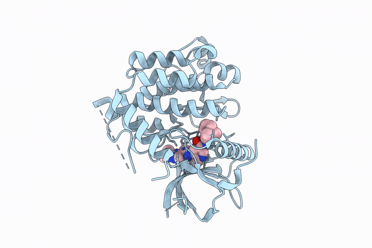 11UE image