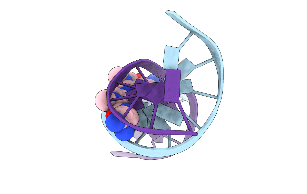 121D image