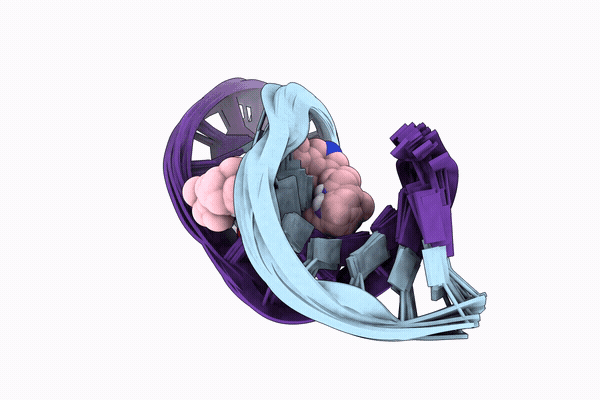 12AE image