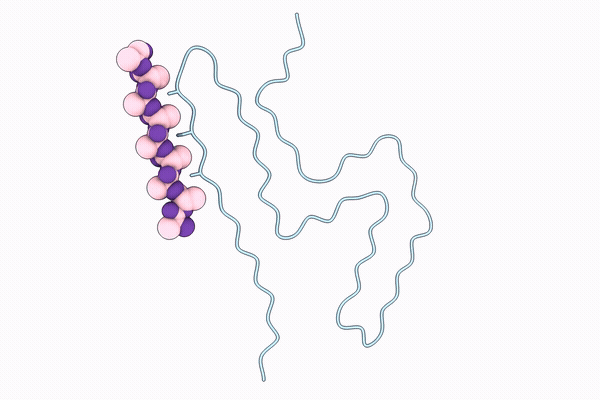 12AQ image